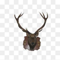 麋鹿角图片,大自然的瑰宝与生态平衡的见证