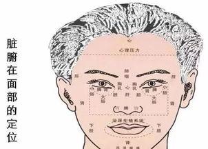 面部 疾病 八卦 震,面部疾病与八卦震象的关联解析